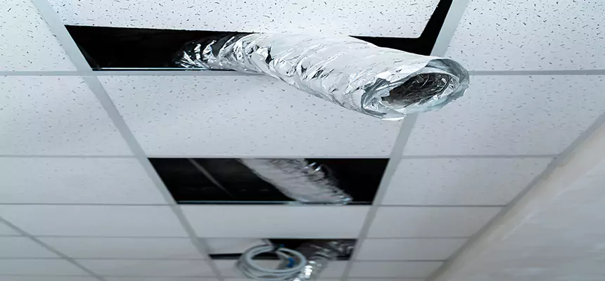 Our Air Duct Pet Hair Removal Services in Portsmouth, NH