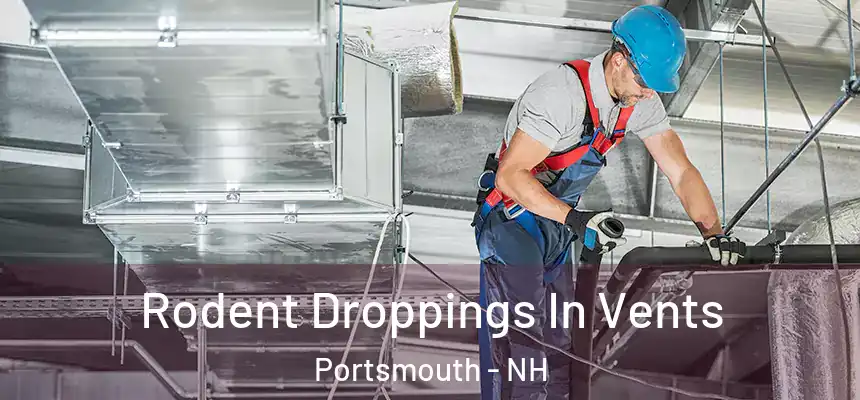  Rodent Droppings In Vents Portsmouth - NH