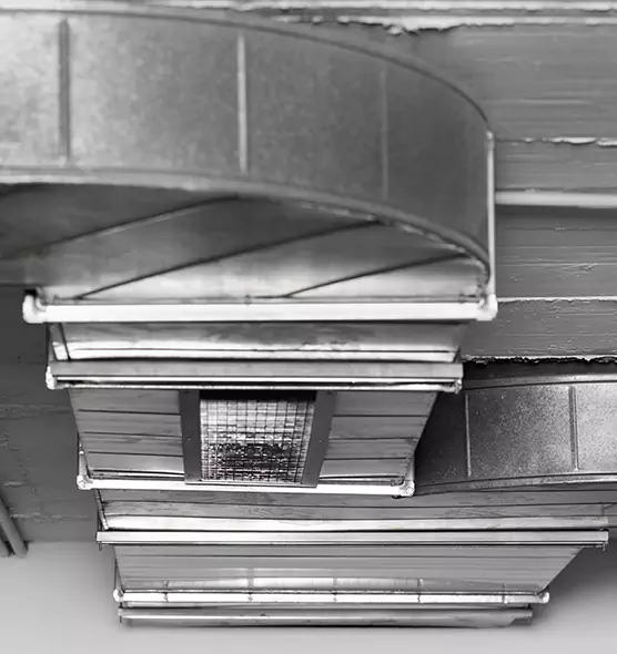 Professional Air Duct Pest Removal in Portsmouth, NH