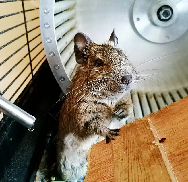 Why Homeowners & Businesses Trust Us Portsmouth, NH