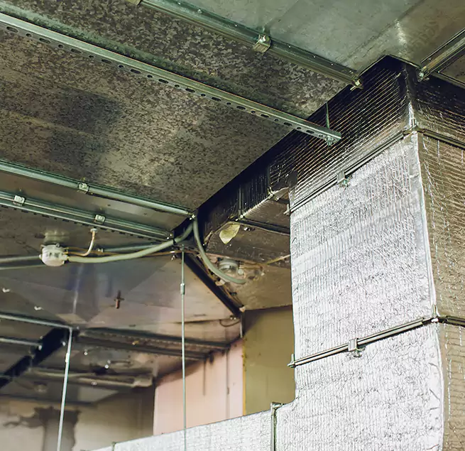 Why Homeowners & Businesses Trust Us in Portsmouth, NH?